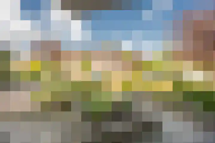 Ruysdaellaan 20 Nijkerk thumbnail 7