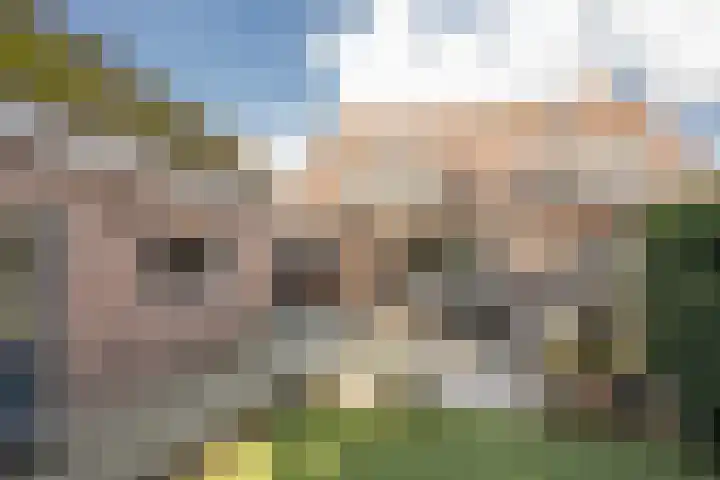 Ruysdaellaan 20 Nijkerk thumbnail 8