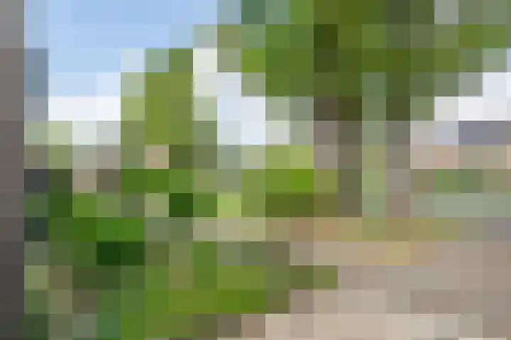 Ruysdaellaan 21 Geleen thumbnail 6