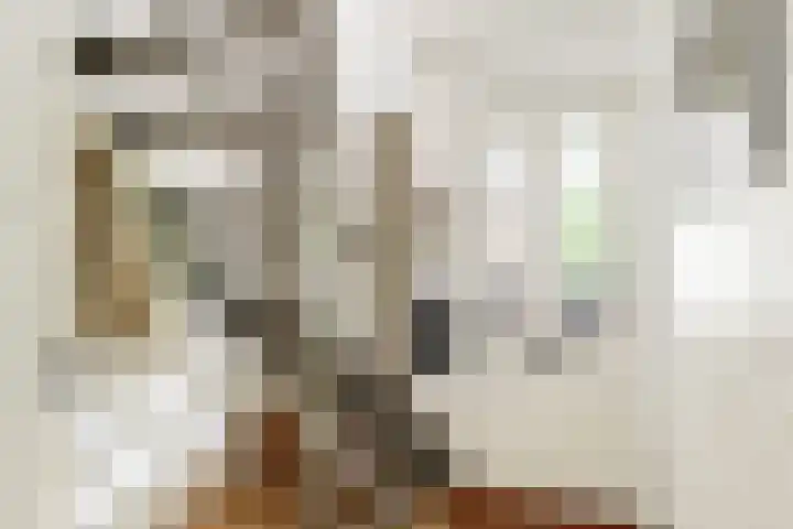 Ruysdaellaan 24 Nijkerk thumbnail 21