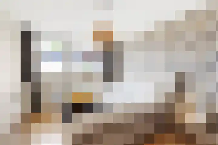 Ruysdaellaan 24 Nijkerk thumbnail 28