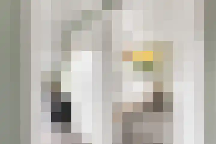 Ruysdaellaan 24 Nijkerk thumbnail 35