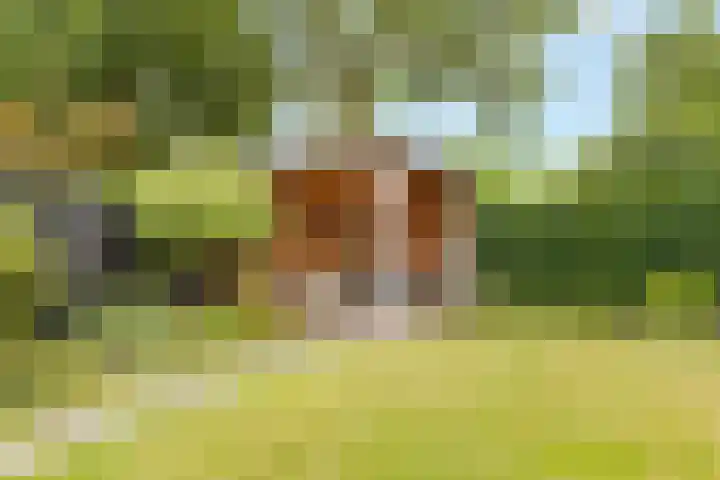 Ruysdaellaan 24 Nijkerk thumbnail 40
