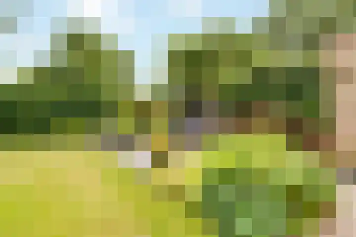 Ruysdaellaan 24 Nijkerk thumbnail 41