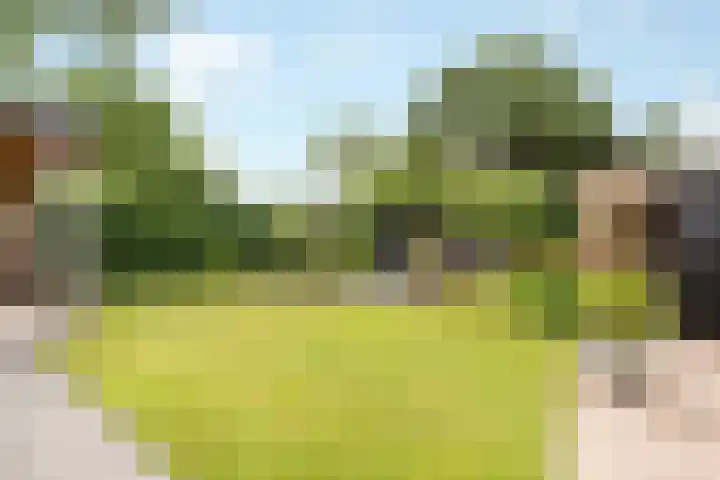 Ruysdaellaan 24 Nijkerk thumbnail 42