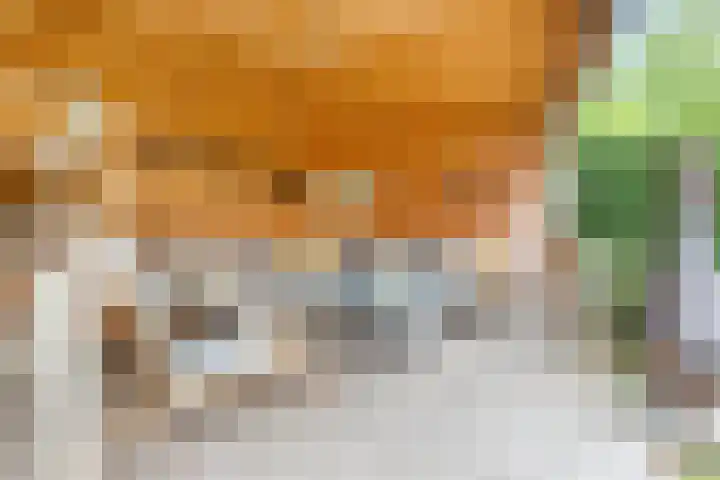 Ruysdaellaan 24 Nijkerk thumbnail 45