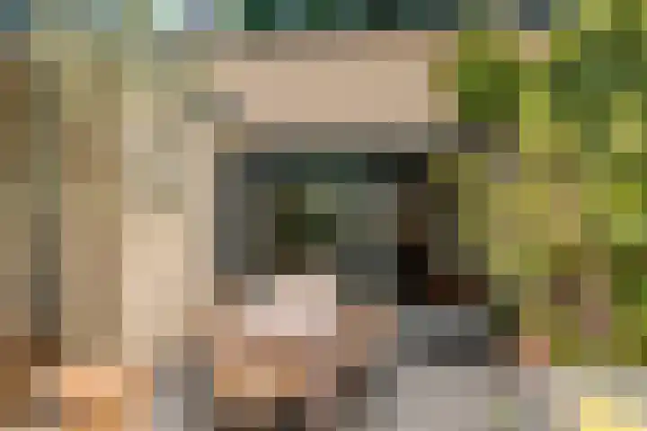 Ruysdaellaan 3 Muiderberg thumbnail 4