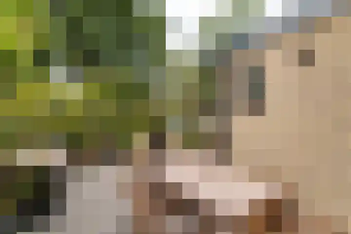 Ruysdaellaan 3 Muiderberg thumbnail 6