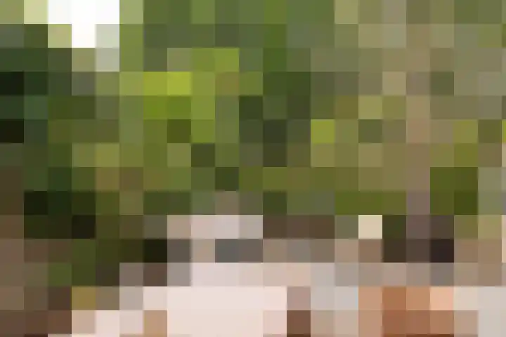 Ruysdaellaan 3 Muiderberg thumbnail 7