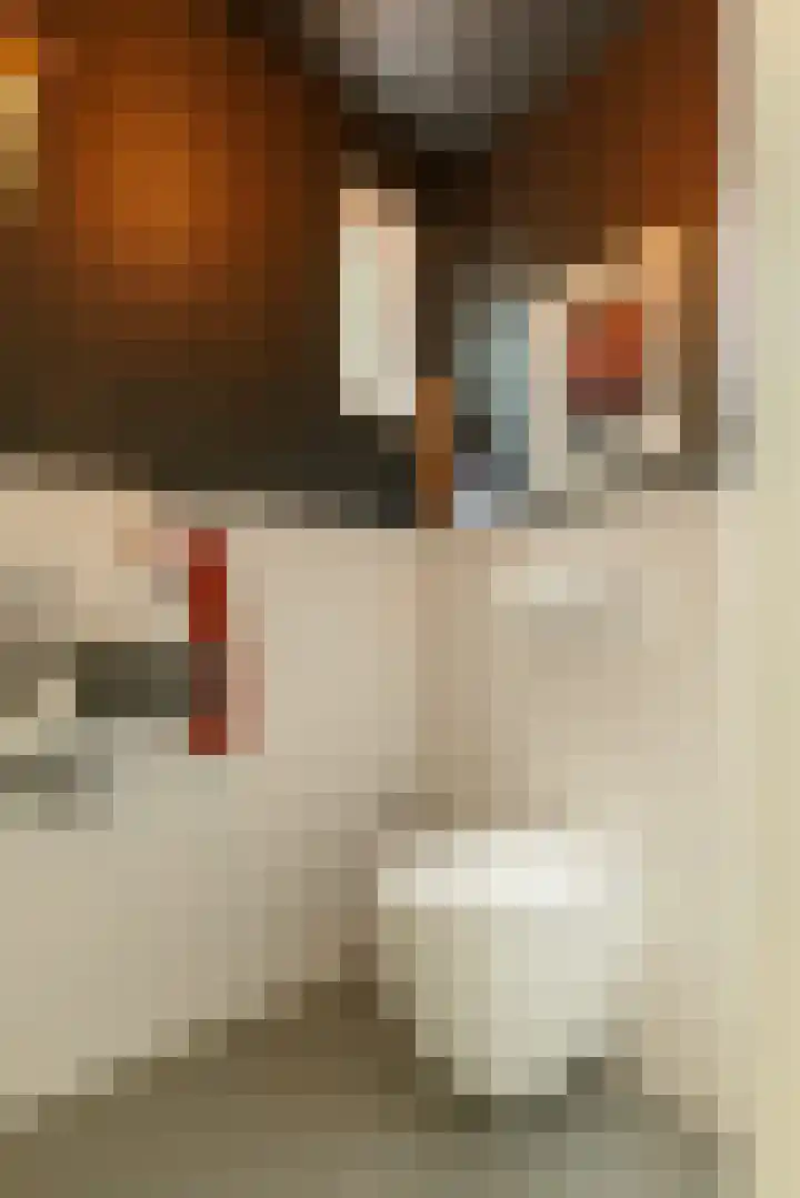 Ruysdaellaan 3 Muiderberg thumbnail 9