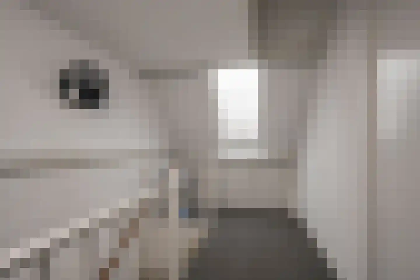 Ruysdaellaan 33 Nijkerk thumbnail 31