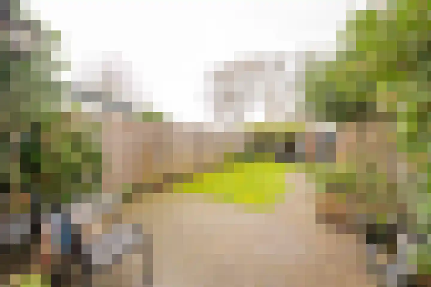 Ruysdaellaan 33 Nijkerk thumbnail 33