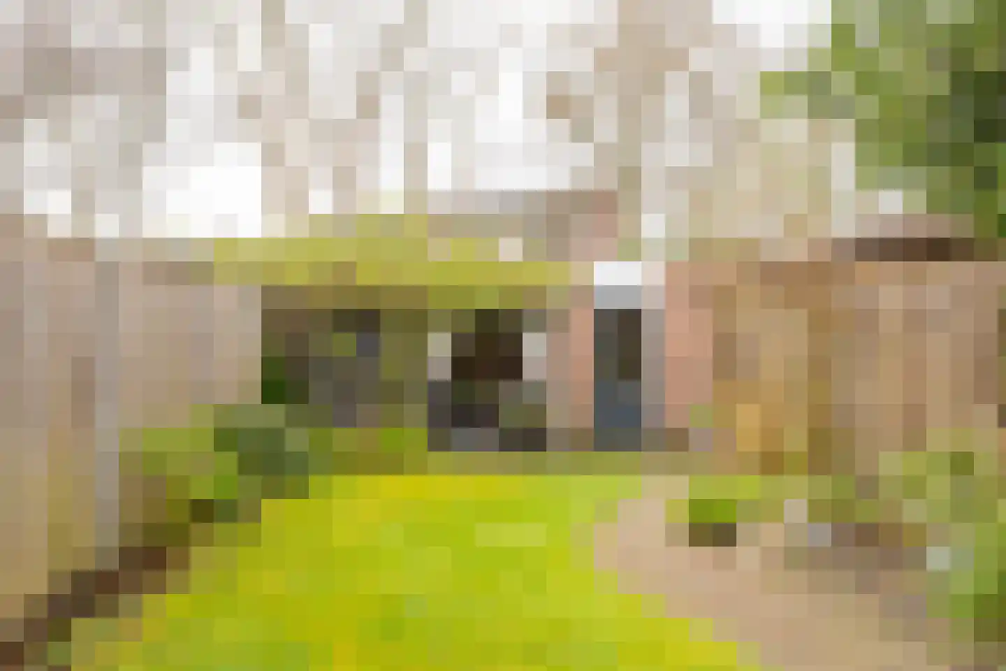 Ruysdaellaan 33 Nijkerk thumbnail 34