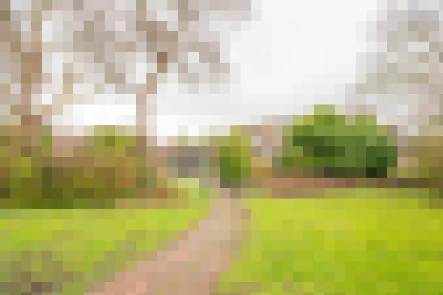 Ruysdaellaan 33 Nijkerk thumbnail 40