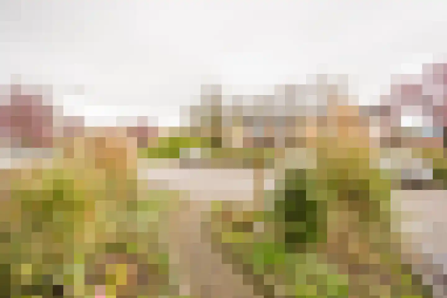 Ruysdaellaan 33 Nijkerk thumbnail 44