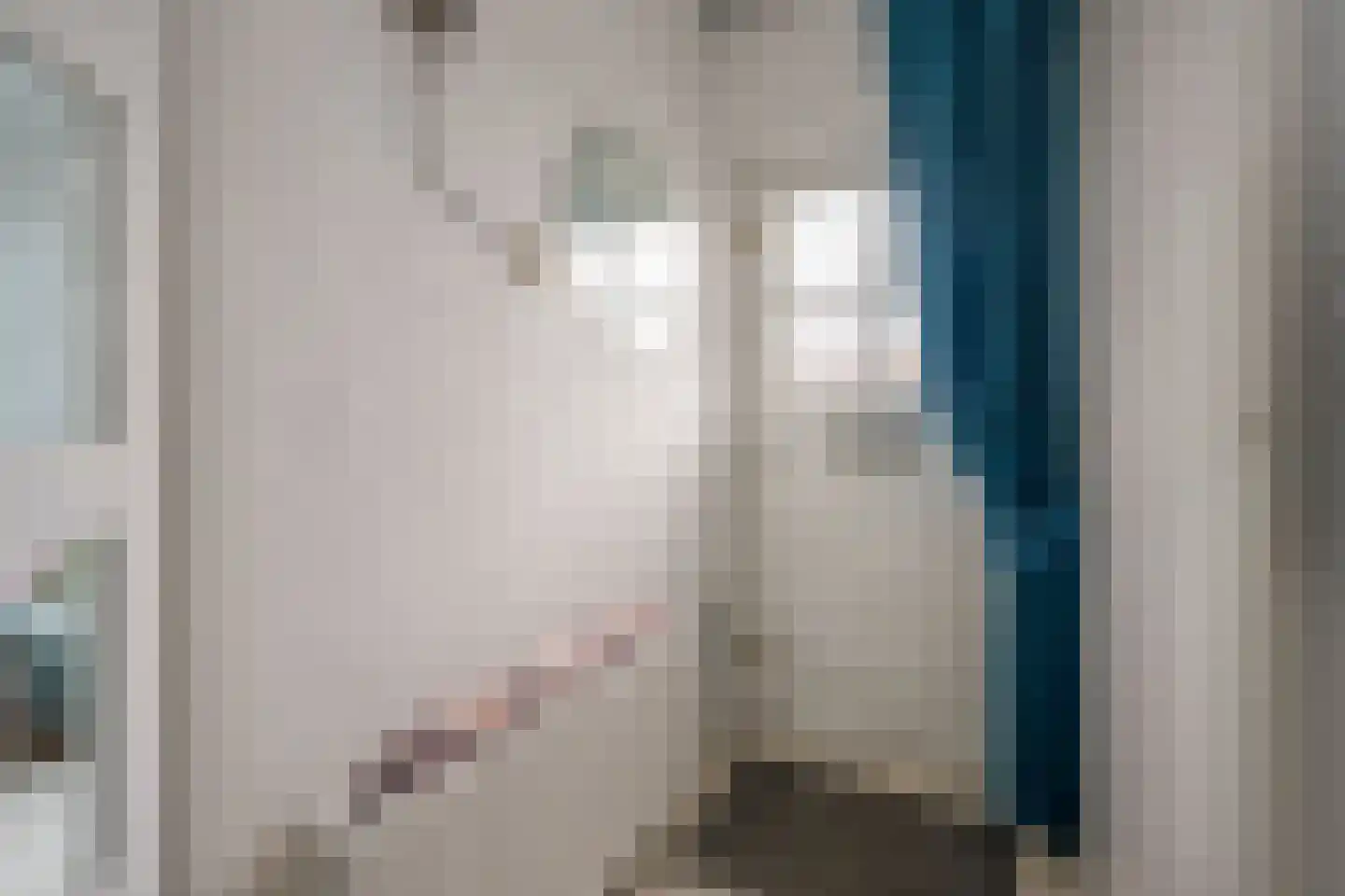 Ruysdaellaan 33 Nijkerk thumbnail 5