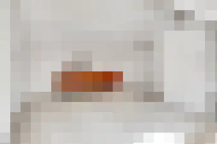 Ruysdaellaan 45 Huis ter Heide thumbnail 19