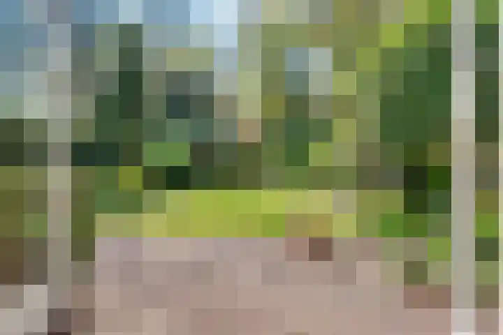 Ruysdaellaan 45 Huis ter Heide thumbnail 20