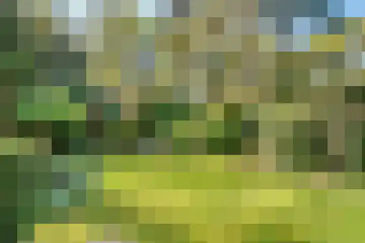 Ruysdaellaan 45 Huis ter Heide thumbnail 21