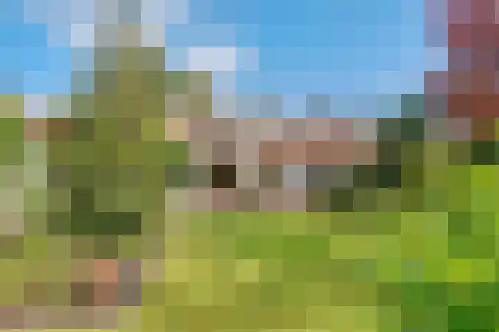 Ruysdaellaan 45 Huis ter Heide thumbnail 22