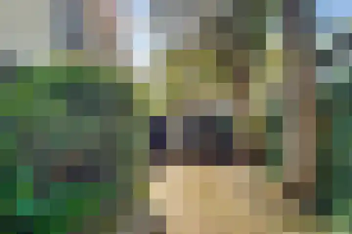 Ruysdaellaan 45 Huis ter Heide thumbnail 27