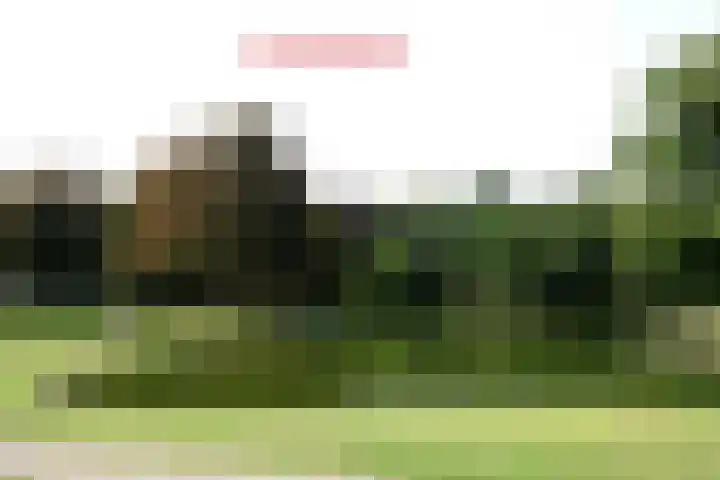 Ruysdaellaan 45 Huis ter Heide thumbnail 29