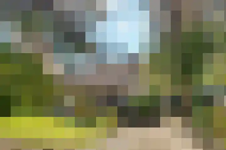 Ruysdaellaan 45 Huis ter Heide thumbnail 33