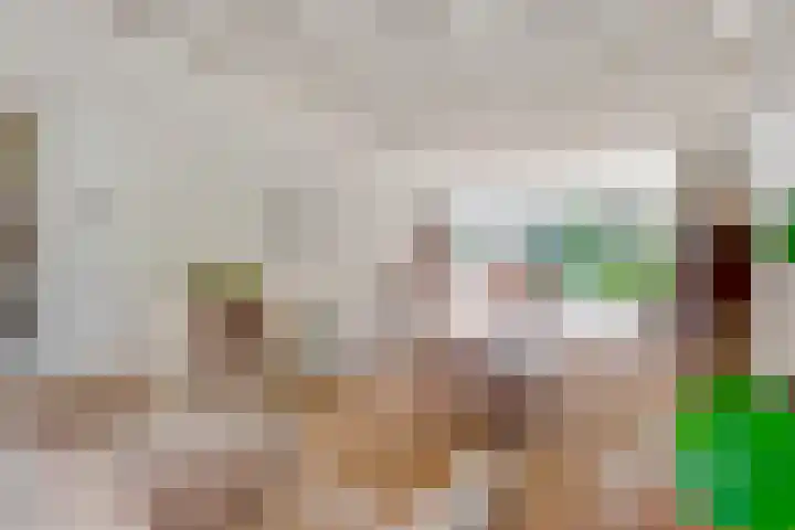 Ruysdaellaan 45 Huis ter Heide thumbnail 5