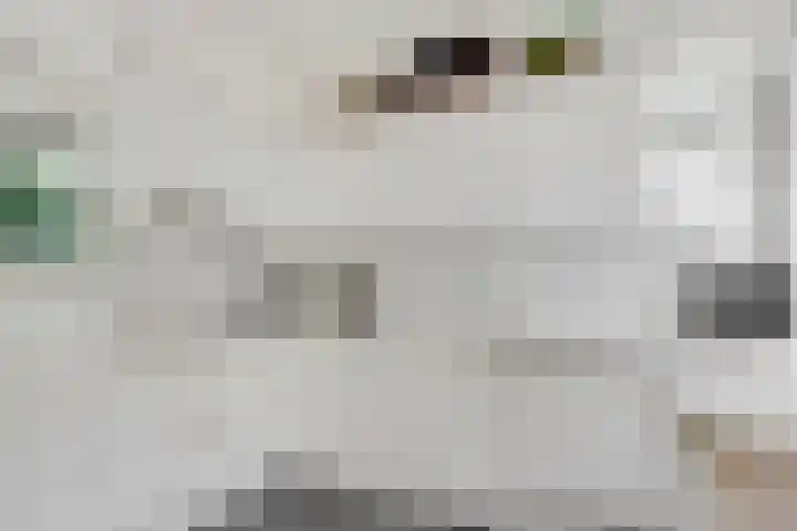 Ruysdaellaan 45 Huis ter Heide thumbnail 7