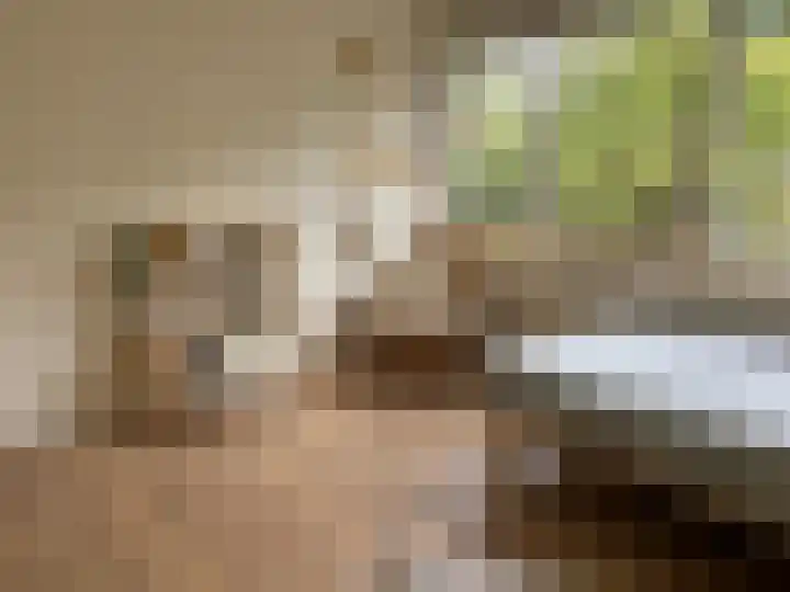 Ruysdaellaan 5 Muiderberg thumbnail 26