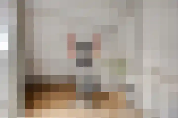 Ruysdaellaan 5 Muiderberg thumbnail 36