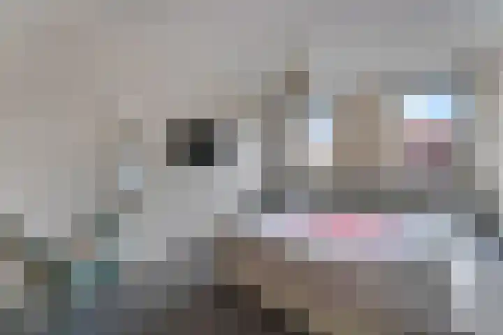 Ruysdaellaan 6 Nijkerk thumbnail 10