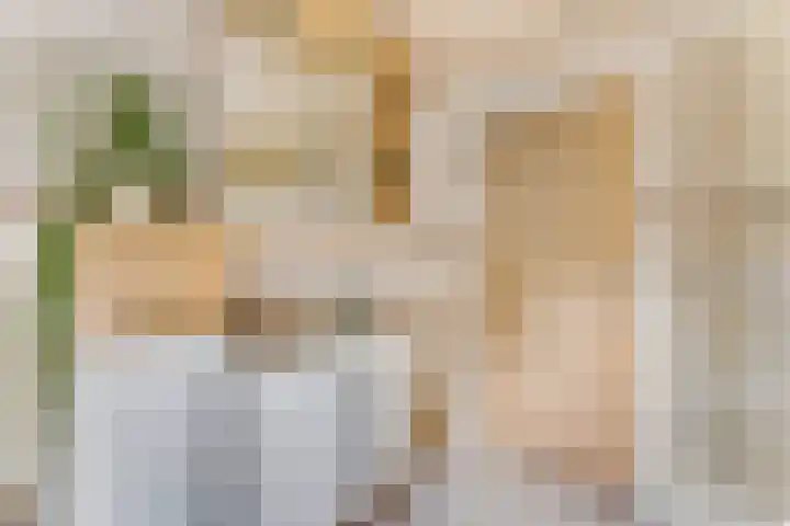Ruysdaellaan 6 Nijkerk thumbnail 18