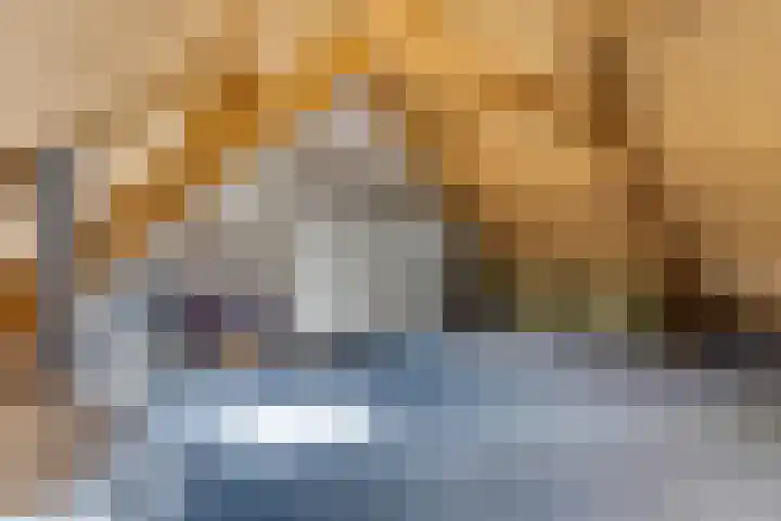 Ruysdaellaan 6 Nijkerk thumbnail 20
