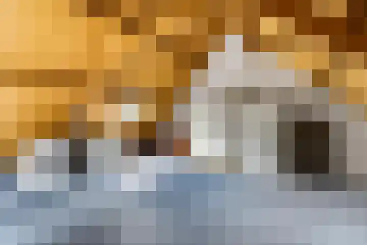 Ruysdaellaan 6 Nijkerk thumbnail 21