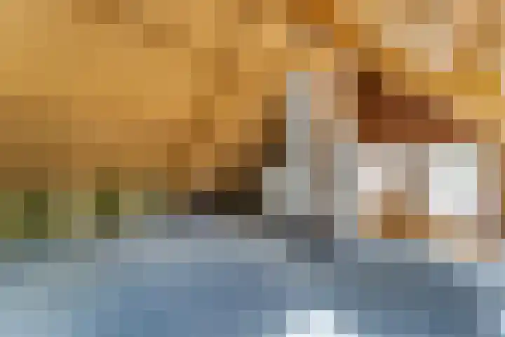 Ruysdaellaan 6 Nijkerk thumbnail 22