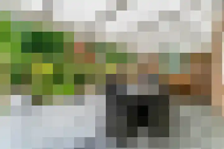 Ruysdaellaan 6 Nijkerk thumbnail 25