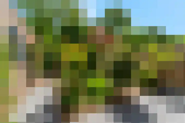 Ruysdaellaan 6 Nijkerk thumbnail 26