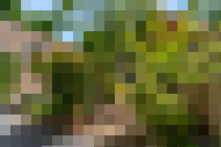 Ruysdaellaan 6 Nijkerk thumbnail 27