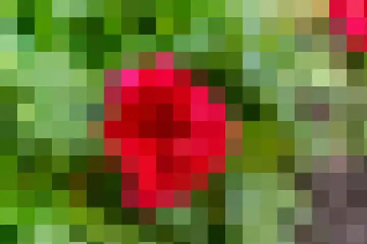Ruysdaellaan 6 Nijkerk thumbnail 31