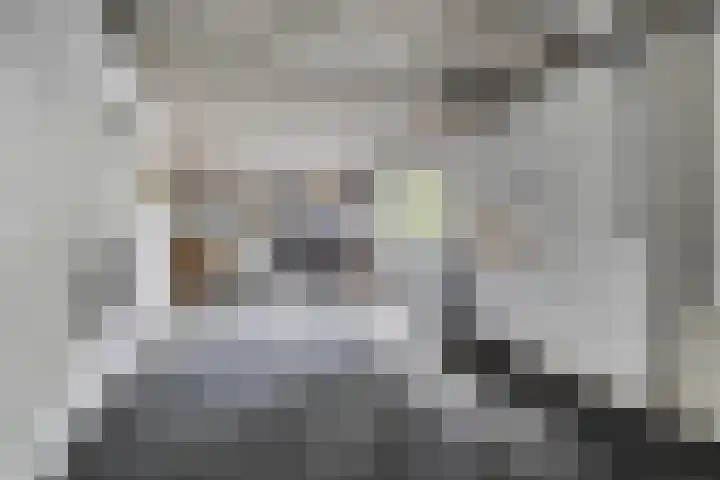 Ruysdaellaan 6 Nijkerk thumbnail 33