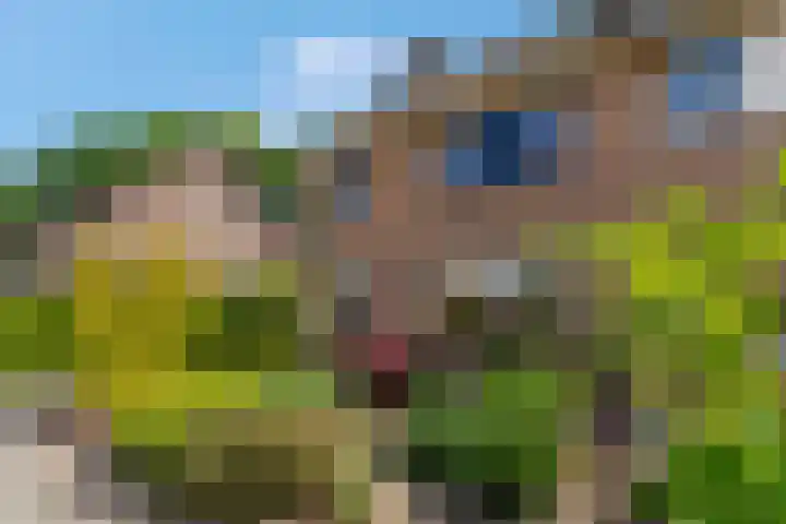 Ruysdaellaan 6 Nijkerk thumbnail 35