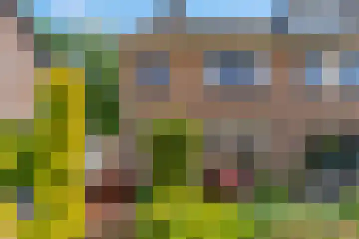 Ruysdaellaan 6 Nijkerk thumbnail 39