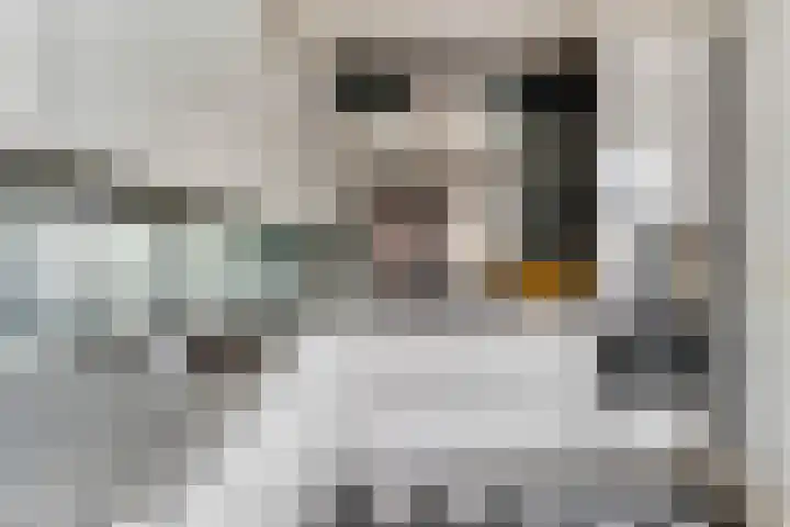 Ruysdaellaan 6 Nijkerk thumbnail 7