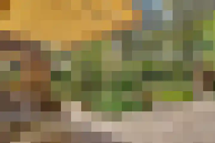 Ruysdaellaan 67 Huis ter Heide thumbnail 27