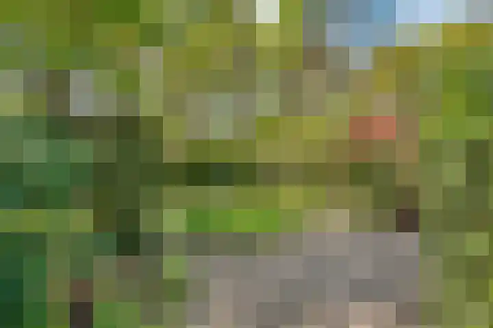 Ruysdaellaan 67 Huis ter Heide thumbnail 29