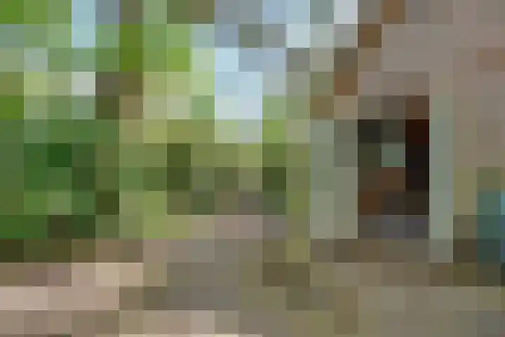Ruysdaellaan 67 Huis ter Heide thumbnail 30