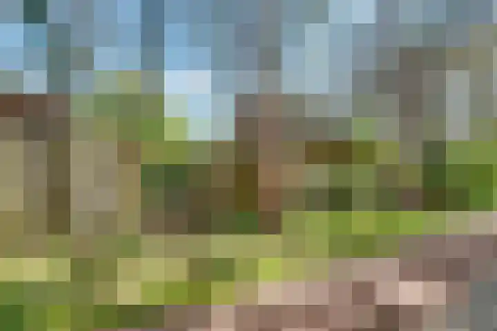 Ruysdaellaan 67 Huis ter Heide thumbnail 31