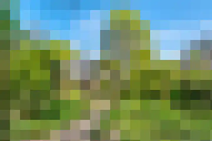 Ruysdaellaan 67 Huis ter Heide thumbnail 33