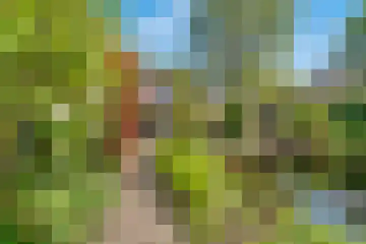 Ruysdaellaan 67 Huis ter Heide thumbnail 34